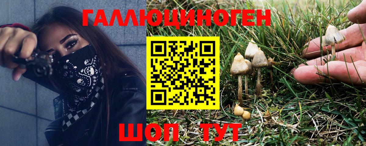 Псилоцибиновые грибы ЛСД  Вход с VPN  Галлюциногенные грибы прущие грибы  Кизилюрт 